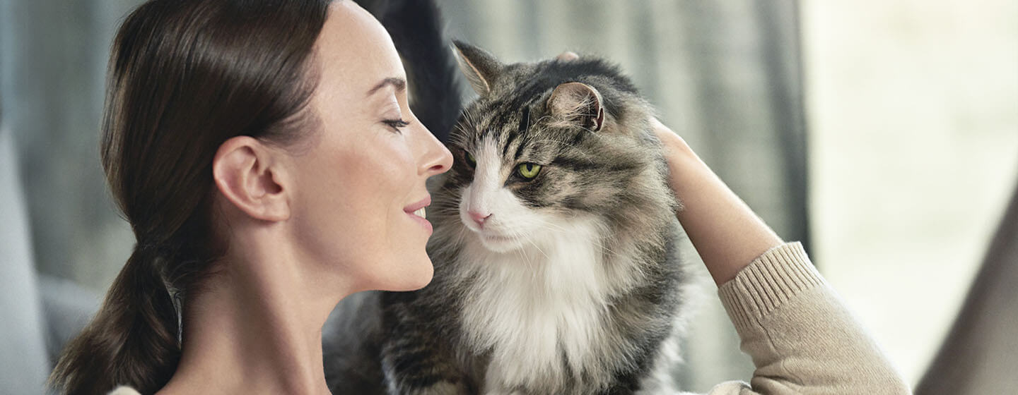 8 Simple Ways to Manage Cat Allergens At Home Purina